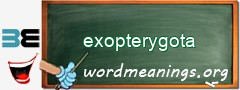 WordMeaning blackboard for exopterygota